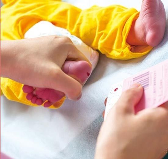 新生儿采血卡厂家解读:新生儿筛查